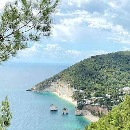 Diomede - Manfredi Homes&villas Nocleg ze śniadaniem 2*